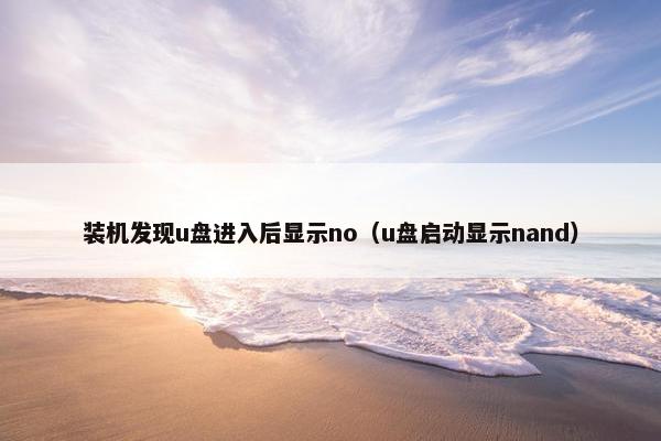 装机发现u盘进入后显示no（u盘启动显示nand）