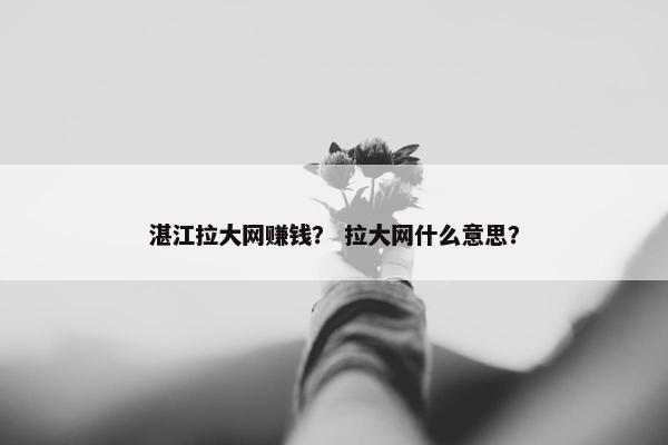 湛江拉大网赚钱？ 拉大网什么意思？