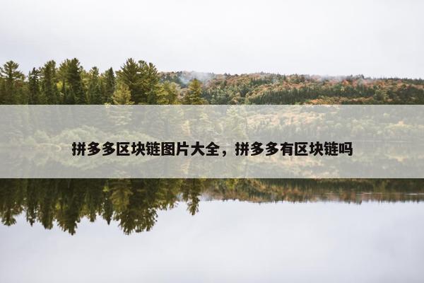 拼多多区块链图片大全，拼多多有区块链吗
