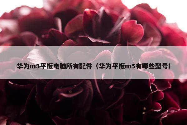 华为m5平板电脑所有配件（华为平板m5有哪些型号）