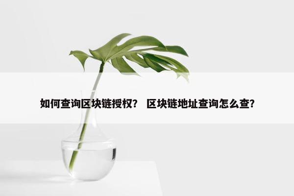 如何查询区块链授权？ 区块链地址查询怎么查？