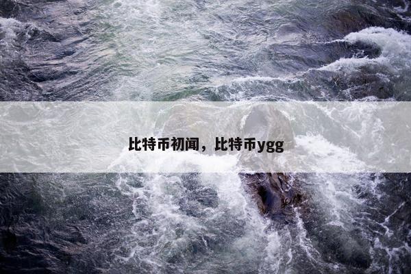 比特币初闻，比特币ygg
