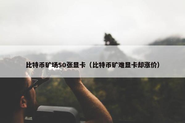 比特币矿场50张显卡（比特币矿难显卡却涨价）