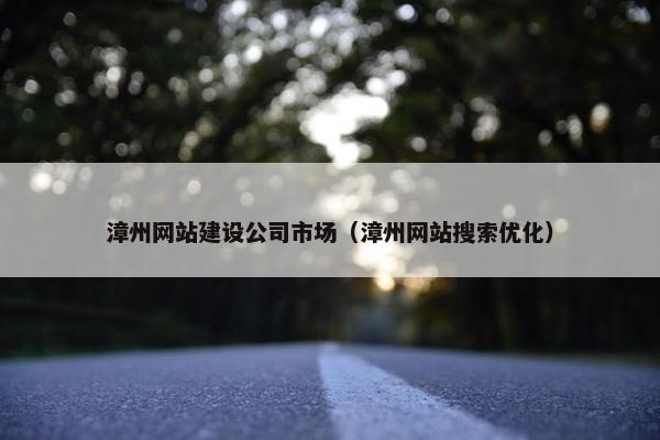 漳州网站建设公司市场（漳州网站搜索优化）