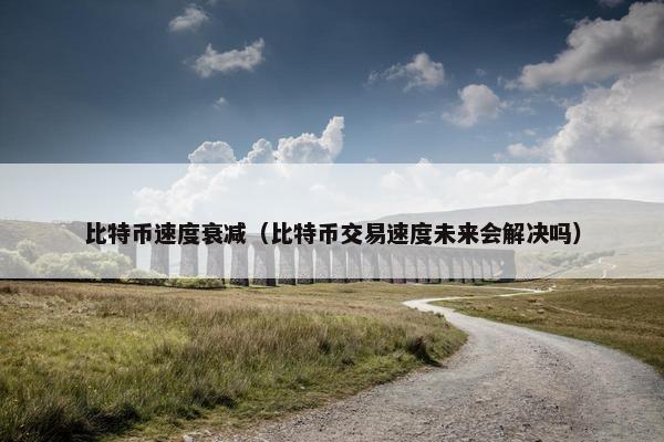 比特币速度衰减（比特币交易速度未来会解决吗）