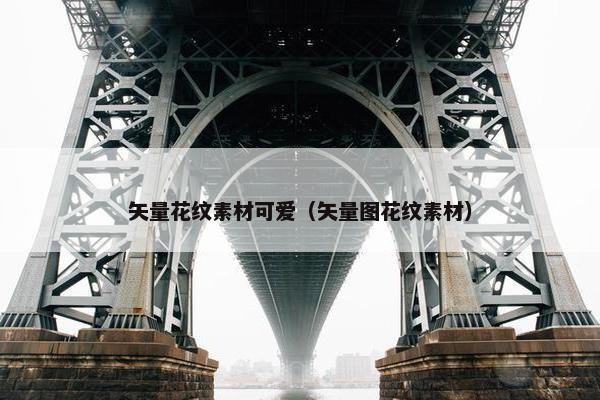 矢量花纹素材可爱（矢量图花纹素材）