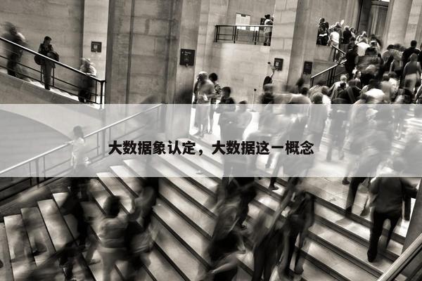 大数据象认定，大数据这一概念