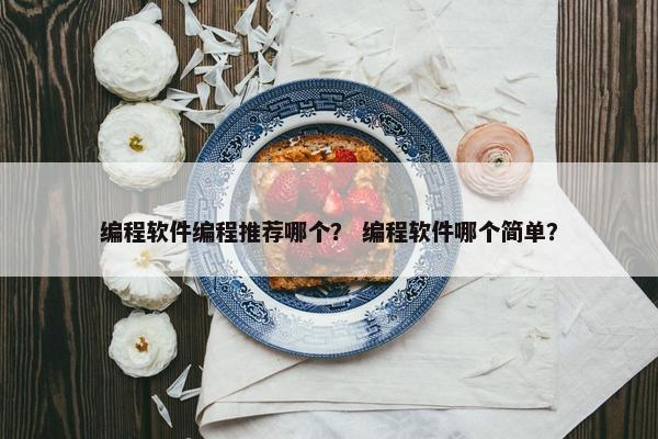 编程软件编程推荐哪个？ 编程软件哪个简单？