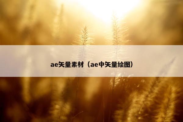 ae矢量素材（ae中矢量绘图）