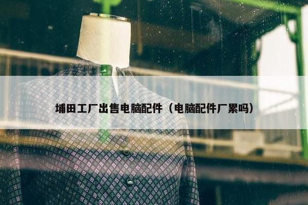 埔田工厂出售电脑配件（电脑配件厂累吗）