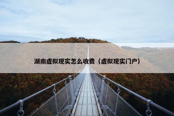 湖南虚拟现实怎么收费（虚拟现实门户）