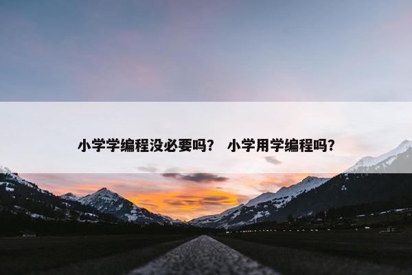 小学学编程没必要吗？ 小学用学编程吗？