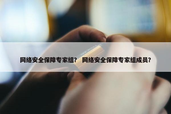 网络安全保障专家组？ 网络安全保障专家组成员？