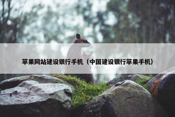 苹果网站建设银行手机（中国建设银行苹果手机）
