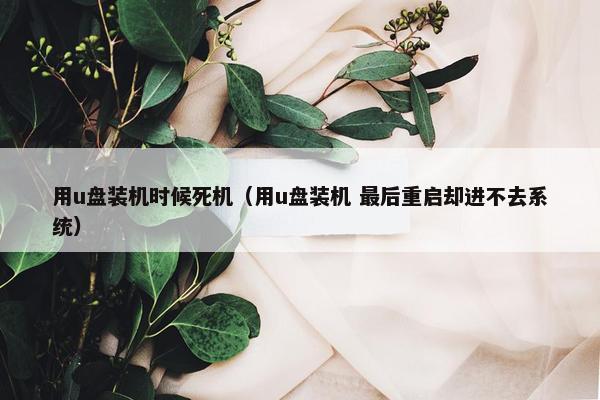 用u盘装机时候死机（用u盘装机 最后重启却进不去系统）