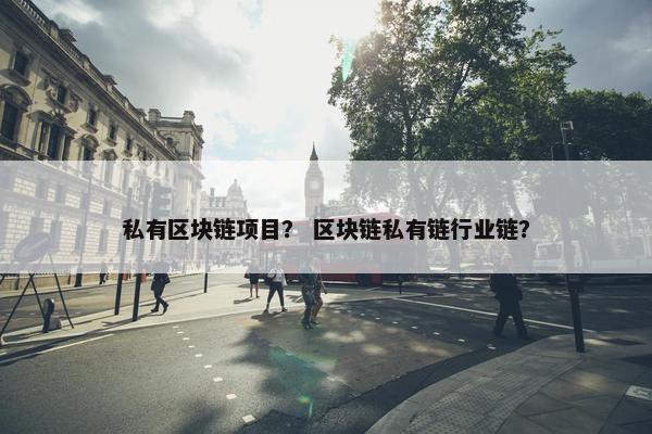私有区块链项目？ 区块链私有链行业链？