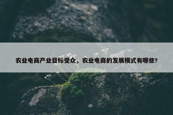 农业电商产业目标受众，农业电商的发展模式有哪些?