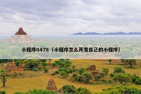 小程序0478（小程序怎么开发自己的小程序）