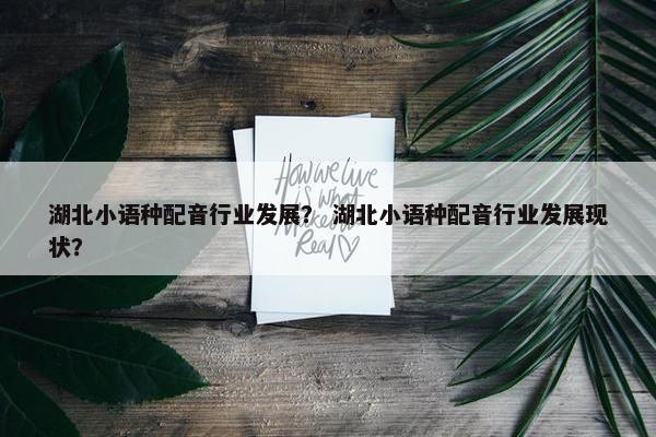 湖北小语种配音行业发展？ 湖北小语种配音行业发展现状？