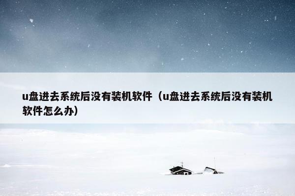 u盘进去系统后没有装机软件（u盘进去系统后没有装机软件怎么办）