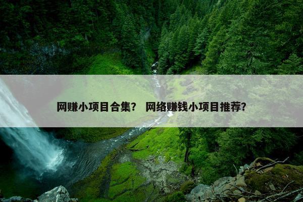 网赚小项目合集？ 网络赚钱小项目推荐？