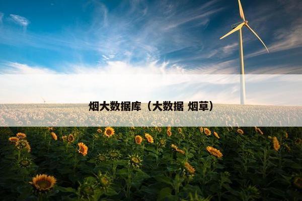 烟大数据库（大数据 烟草）