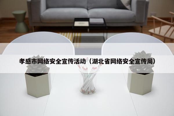 孝感市网络安全宣传活动（湖北省网络安全宣传周）