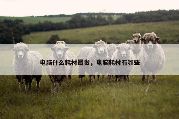 电脑什么耗材最贵，电脑耗材有哪些