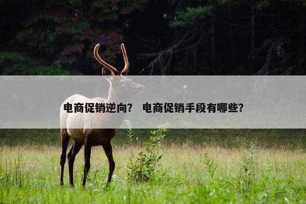 电商促销逆向？ 电商促销手段有哪些？