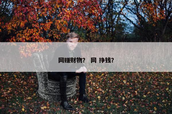 网赚财物？ 网 挣钱？