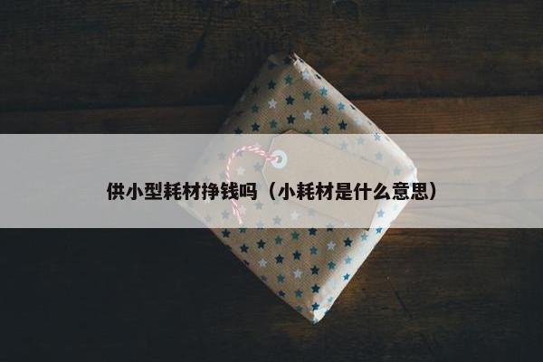 供小型耗材挣钱吗（小耗材是什么意思）