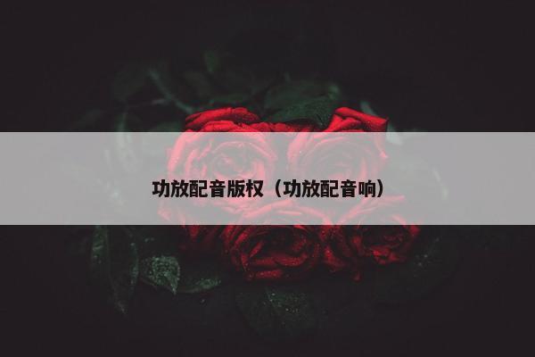 功放配音版权（功放配音响）