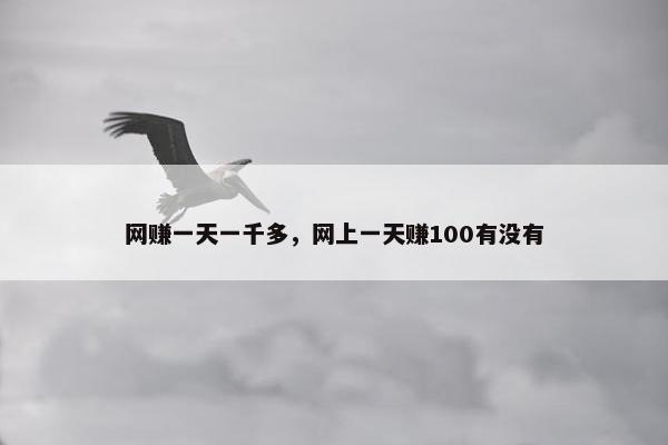 网赚一天一千多，网上一天赚100有没有