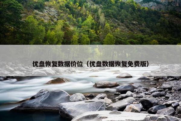 优盘恢复数据价位（优盘数据恢复免费版）