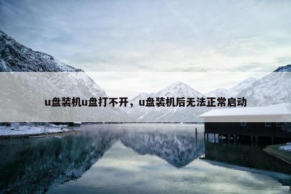 u盘装机u盘打不开，u盘装机后无法正常启动