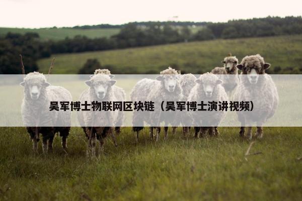 吴军博士物联网区块链（吴军博士演讲视频）