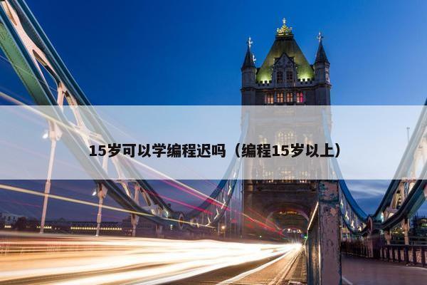 15岁可以学编程迟吗（编程15岁以上）