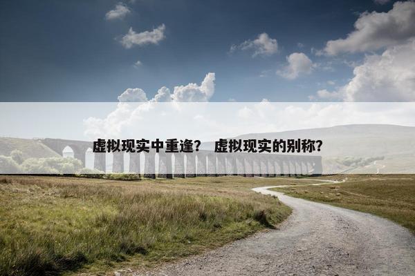 虚拟现实中重逢？ 虚拟现实的别称？