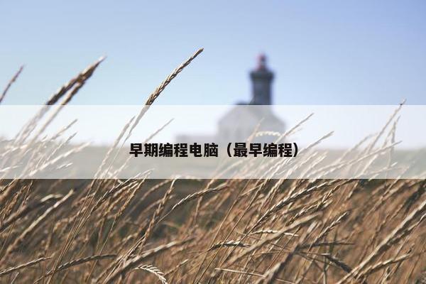 早期编程电脑（最早编程）