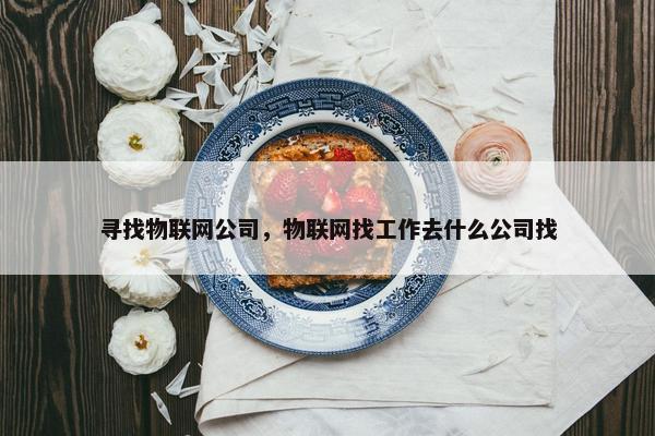 寻找物联网公司，物联网找工作去什么公司找