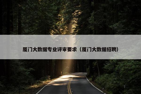 厦门大数据专业评审要求（厦门大数据招聘）
