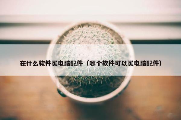 在什么软件买电脑配件（哪个软件可以买电脑配件）
