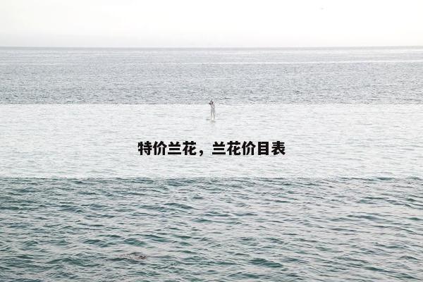 特价兰花，兰花价目表