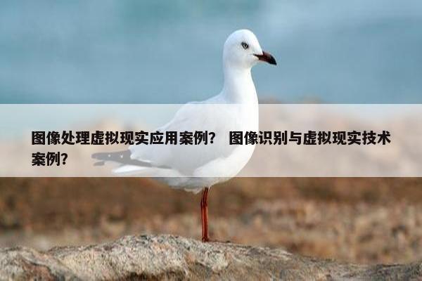 图像处理虚拟现实应用案例？ 图像识别与虚拟现实技术案例？