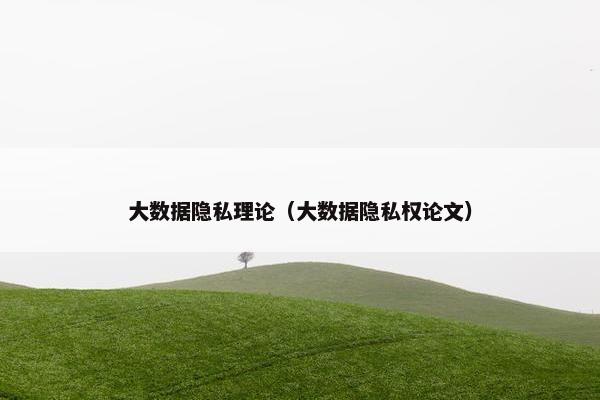 大数据隐私理论（大数据隐私权论文）
