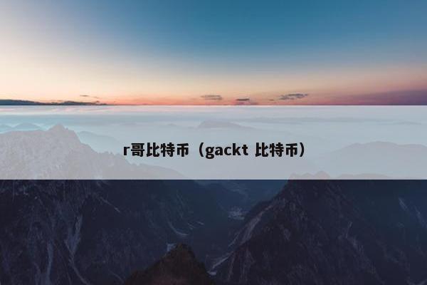 r哥比特币（gackt 比特币）