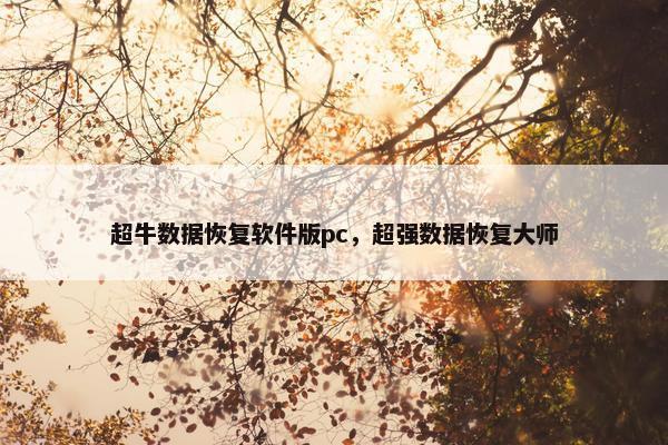 超牛数据恢复软件版pc，超强数据恢复大师