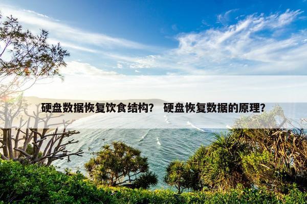 硬盘数据恢复饮食结构？ 硬盘恢复数据的原理？
