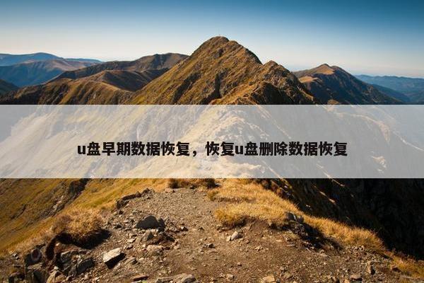 u盘早期数据恢复，恢复u盘删除数据恢复