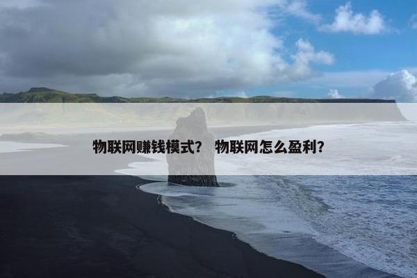 物联网赚钱模式？ 物联网怎么盈利？
